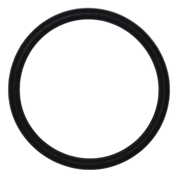 O-Ring EPDM VPE 1 St.
