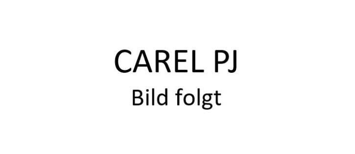 Elektronikregler CAREL PJEZC00000